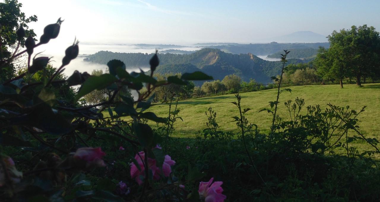 Bed And Breakfast Dopo Il Settimo Cielo Lubriano Exterior foto