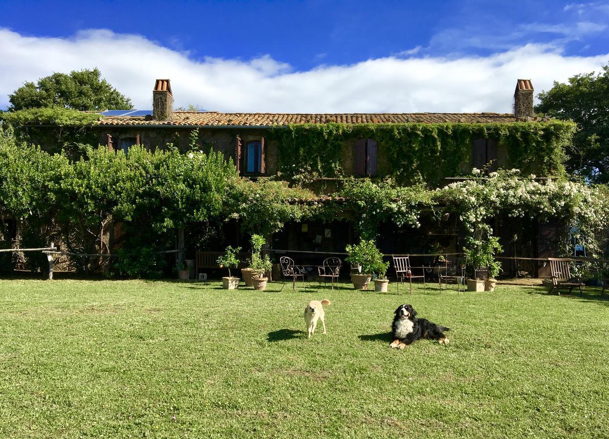 Bed And Breakfast Dopo Il Settimo Cielo Lubriano Exterior foto