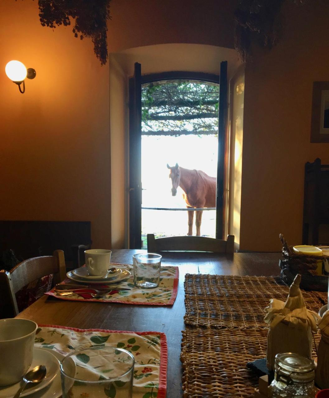Bed And Breakfast Dopo Il Settimo Cielo Lubriano Exterior foto